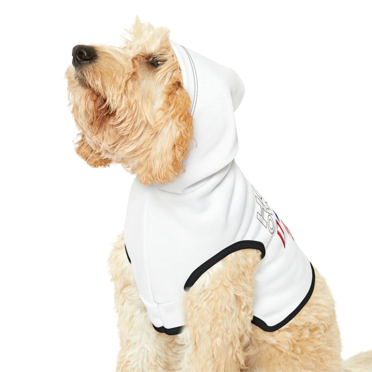 Home Owners 2024 Pet Hoodie - Pets | ShirtyAgents