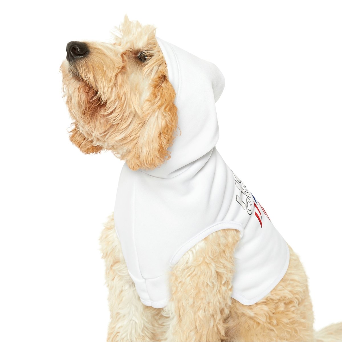 Home Owners 2024 Pet Hoodie - Pets | ShirtyAgents