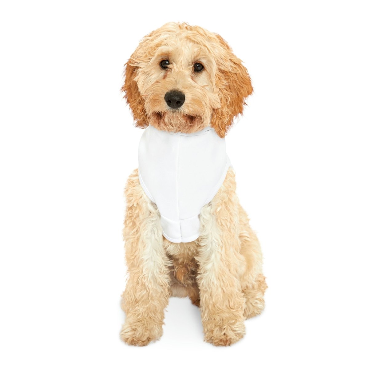 Home Owners 2024 Pet Hoodie - Pets | ShirtyAgents