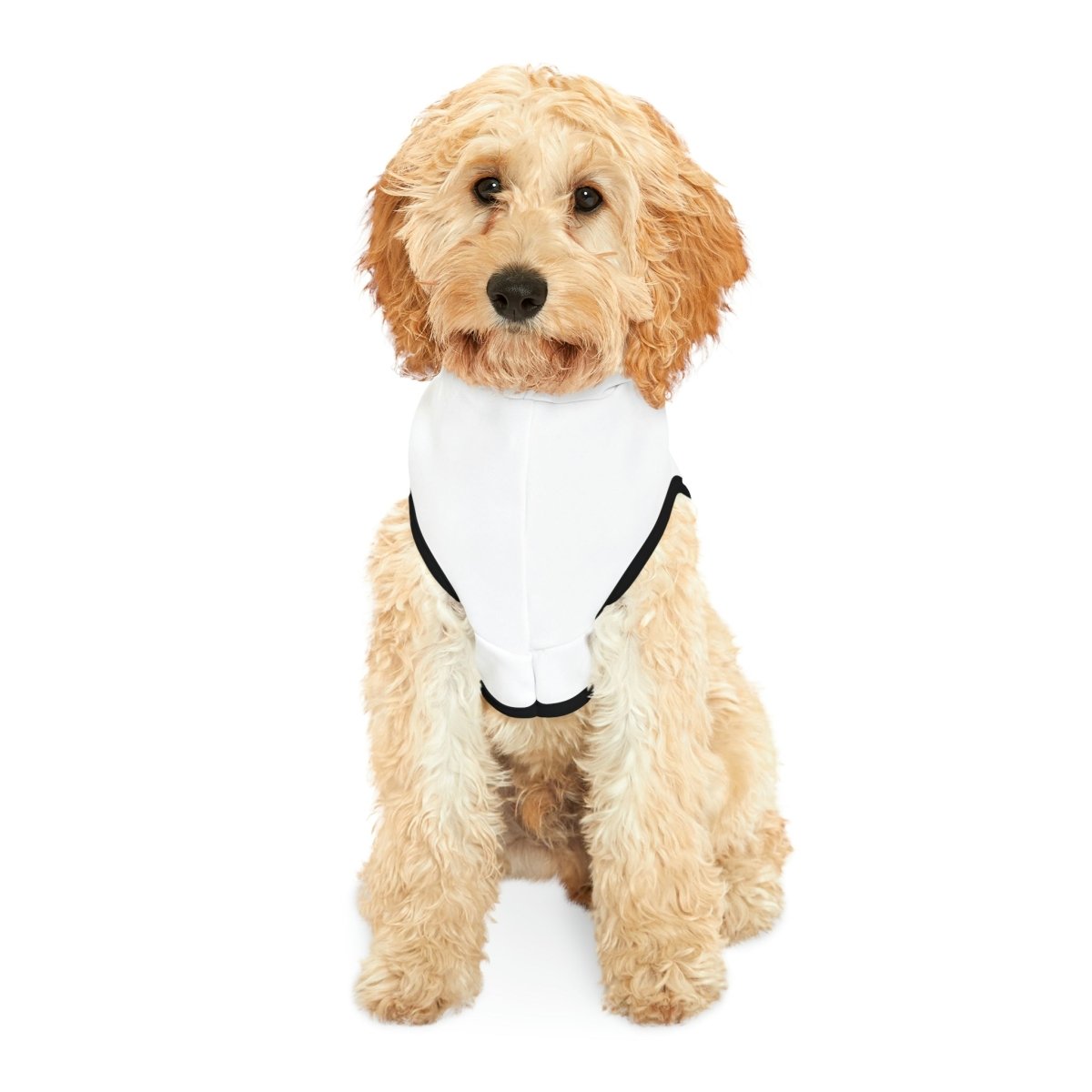 Home Owners 2024 Pet Hoodie - Pets | ShirtyAgents